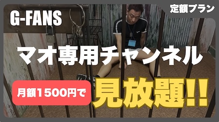 マオ専用チャンネル